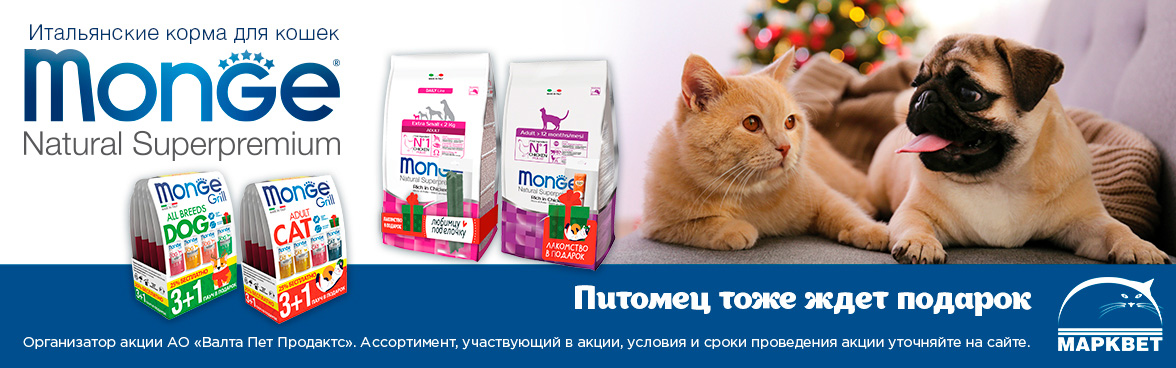 Корма для кошек на маркете Корма для кошек на маркете thumbnail