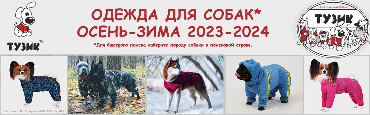 ТУЗИК осень 2023__10/2023