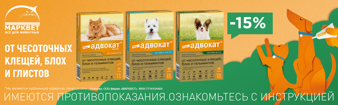 АДВОКАТ - 15%__10.2026