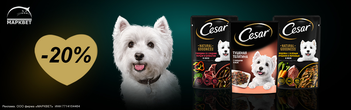 CESAR - 20%__12.2025