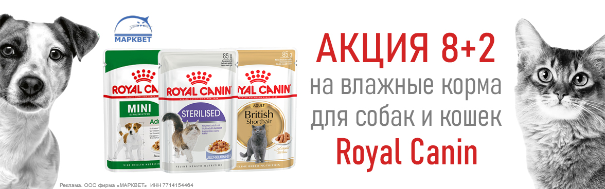 ROYAL CANIN паучи 8+2__10.2026