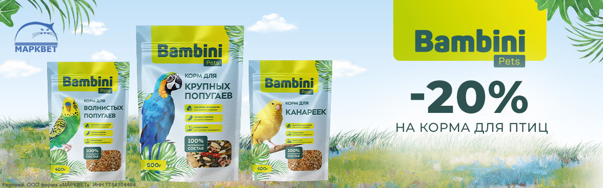 BAMBINI корма для птиц - 20%__08.2026