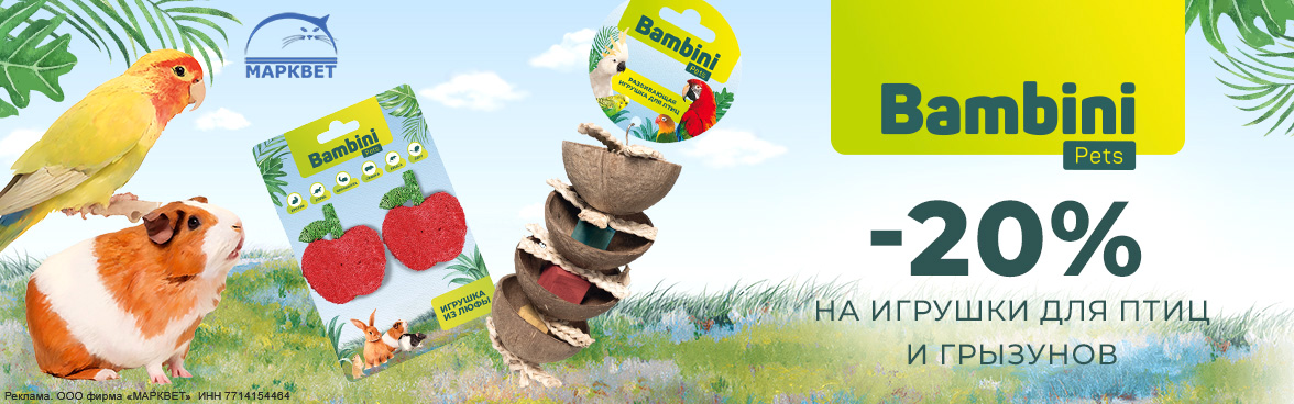 BAMBINI игрушки - 20%__02.2026