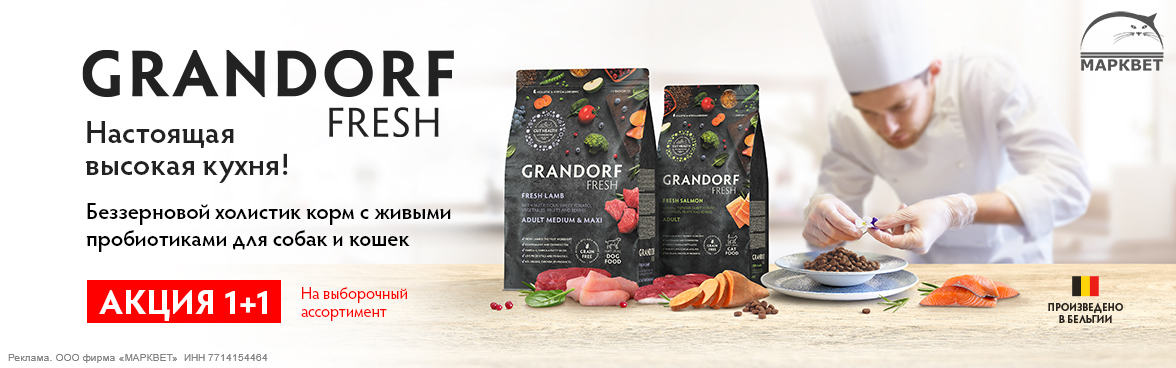 GRANDORF FRESH 400г, 1кг, 1+1__05.2025