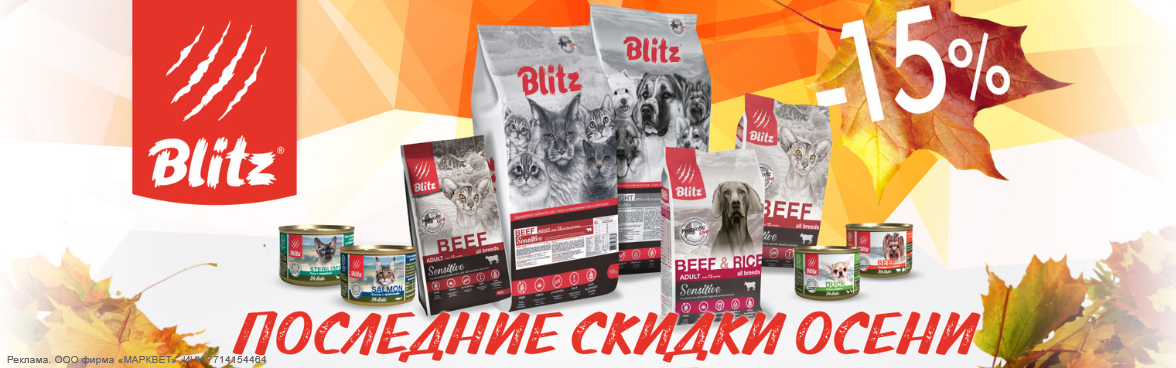 BLITZ выборочно -15%__11/2023