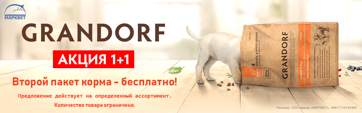 GRANDORF 1+1__05.2026
