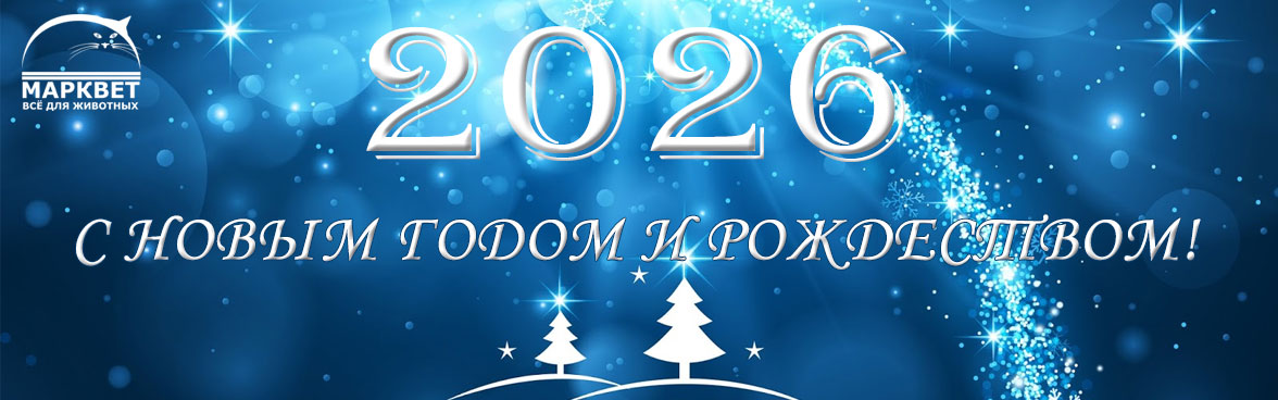 С НОВЫМ 2026 ГОДОМ И РОЖДЕСТВОМ