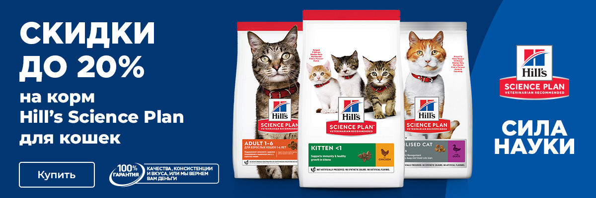 Hill's SP Cats-Kittens -20%