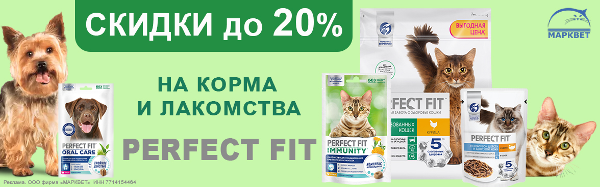 PERFECT FIT весь - 20%__06.2024