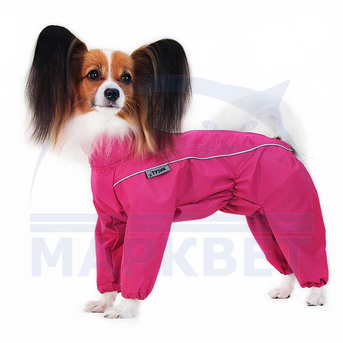 Орыс әйелдеріне арналған белдік