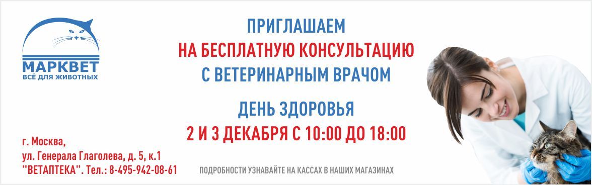 ДЕНЬ ЗДОРОВЬЯ__12/2023