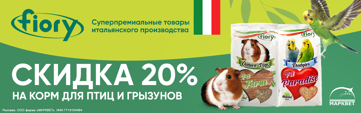 FIORY PET - 20%__05.2026