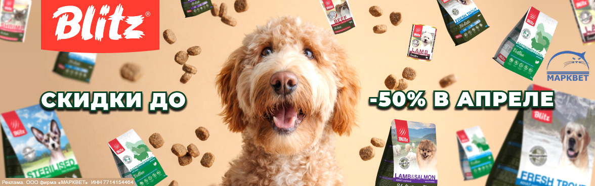 BLITZ выборочно до 50%__04.2026
