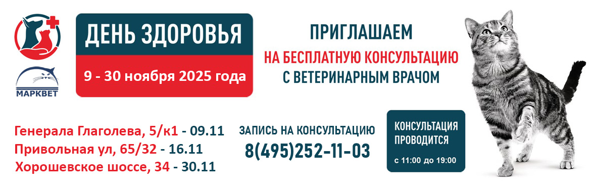 День Здоровья 11.2025