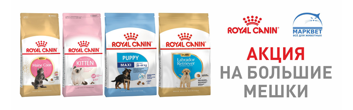Акция Royal Canin на большие мешки для щенков