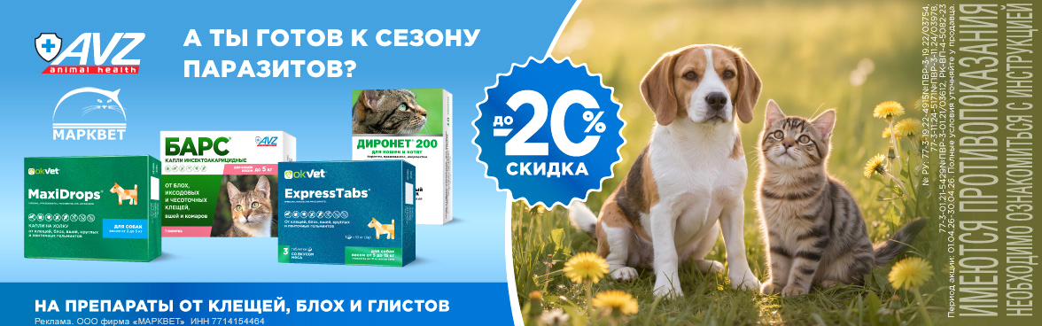 АВЗ Барс, Диронет, ЭкспрессТабс - 20%__04.2026