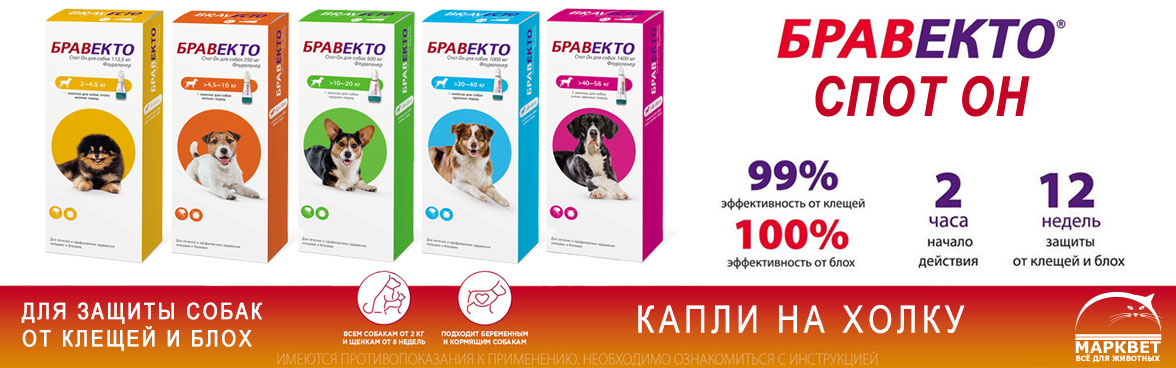 БРАВЕКТО Спот Он для собак и кошек- капли от клещей и блох на 12 недель