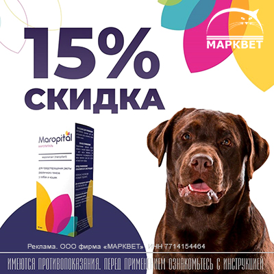 Акции