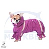 Комбинезон для собаки ТОЙ-ПУДЕЛЬ, спортивный дождевик без подкладки, на суку, длина спины 32см, обхват груди 42см, ТУЗИК