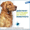 ФОРЕСТО ошейник от клещей и блох для собак более 8кг, 70см, ELANCO Foresto