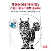 Роял Канин СКИН ЭНД КОАТ диетический сухой корм для стерилизованных кошек с чувствительной кожей, 1,5кг, ROYAL CANIN Skin & Coat