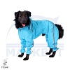 Комбинезон для собаки СТАФФОРДШИРСКИЙ ТЕРЬЕР, спортивный дождевик без подкладки, на кобеля, длина спины 58см, обхват груди 82см, ТУЗИК