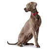 Ошейник для собак ХАНТЕР Люка 65, 34мм/46-56см, красный/серо-голубой, натуральная кожа наппа, 66762, HUNTER LUCCA 