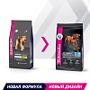 Эукануба сухой корм для собак крупных пород с птицей,  3кг, EUKANUBA Adult Large Breed