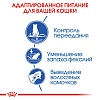 Роял Канин ИНДОР АППЕТАЙТ КОНТРОЛ сухой корм для домашних кошек, склонных к перееданию, 2кг, ROYAL CANIN Indoor Appetite Control