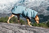 Попона утепленная для собак Хуртта ЭКСПЕДИШН ПАРКА 55, длина спины 55см, объем груди 55-96см, синяя, полиэстер, 933714, HURTTA Expedition Parka