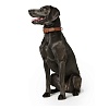 Ошейник для собак Хантер КАНАДИАН 60, 35мм/46-52см, рыжий/черный, натуральная кожа лося, 42788, HUNTER Canadian