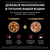 Про План СТЕРИЛАЙЗД СЭЙВОРИ ДУО сухой корм для стерилизованных кошек с высокой вкусовой привлекательностью, с уткой и печенью,   400г, PRO PLAN Sterilised Savoury Duo 