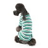 Спортивный костюм для собак ПОЛОСКА в ассортименте, хлопок, 209 PA-OR, PUPPY ANGEL
