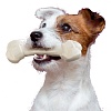 Игрушка кость со вкусом ветчины ГУДБАЙТ, для собак, 17*5,5*h2,6см, на основе природного полимера, 88080024, FERPLAST