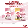 Роял Канин МАЗЕР ЭНД БЭБИКЕТ сухой корм для котят в возрасте до 4 месяцев и беременных или кормящих кошек, 2кг, ROYAL CANIN Mother and Babycat 
