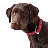 Ошейник для собак Хантер КАНАДИАН 65, 35мм/50-56см, темно-красный/мокко, натуральная кожа лося, 61509, HUNTER Canadian