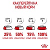 Роял Канин ИКС-СМОЛЛ ПАППИ сухой корм для щенков миниатюрных пород,  500г, ROYAL CANIN Х-Small Puppy
