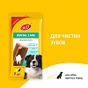 Жевательный снек ДЕНТАЛ КЕА  для Крупных собак с говядиной 270гр, TITBIT
