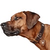 Ошейник для собак ХАНТЕР Тара 65, 40мм/50-58см, темно-коричневый/рыжий, натуральная кожа, 65690, HUNTER TARA