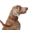 Ошейник для собак Хантер Солид Эдьюкейшн Чейн 50, 35мм/34-42см, рыжий, натуральная кожа, 68631, HUNTER Solid Education Chain