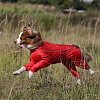 Комбинезон-Дождевик для собак ОССО 40-2К (спина 40см/грудь 50-68см) на кобеля, полиэстер, OSSO 