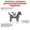 Роял Канин САТАЕТИ СМОЛ ДОГ лечебный сухой корм для собак,  500г, ROYAL CANIN Satiety Small Dog 
