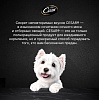 Цезарь влажный корм для собак, паштет с говядиной, 80г, CESAR 