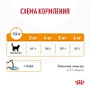Роял Канин ХЭЙР ЭНД СКИН КЕА сухой корм для кошек для поддержания здоровья кожи и шерсти,  2кг, ROYAL CANIN Hair & Skin Care