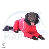 Комбинезон для собаки ЯГДТЕРЬЕР, спортивный, утепленный на флисе, на кобеля, длина спины 41см, обхват груди 54см, ТУЗИК