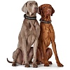 Ошейник для собак ХАНТЕР Ларвик Стайл 45, 28мм/30-38см, темно-коричневый/черный, натуральная кожа, 66174, HUNTER LARVIK STYLE