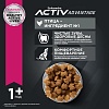 Эукануба сухой корм для собак мелких пород с птицей,   800г, EUKANUBA Adult Small Breed