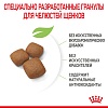 Роял Канин ДЖАЙНТ ЮНИОР сухой корм для щенков гигантских пород в возрасте с 8 до 18-24 месяцев,  3,5кг, ROYAL CANIN Giant Junior