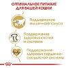 Роял Канин БРИТАНСКАЯ КОРОТКОШЕРСТНАЯ сухой корм для кошек породы британская короткошерстная,  2кг, ROYAL CANIN British Shorthair