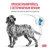 Роял Канин ГИПОАЛЛЕРДЖЕНИК лечебный сухой корм для собак,  2кг, ROYAL CANIN Hypoallergenic 